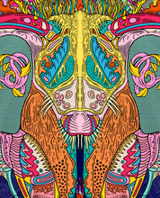 Load image into Gallery viewer, Bug by case.more